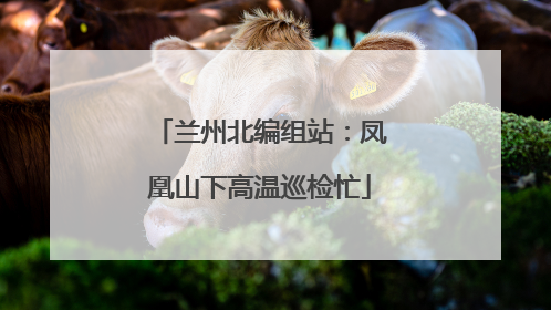 兰州北编组站：凤凰山下高温巡检忙