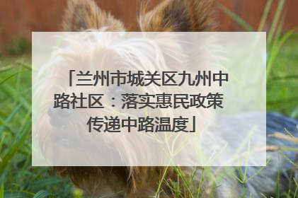兰州市城关区九州中路社区：落实惠民政策 传递中路温度