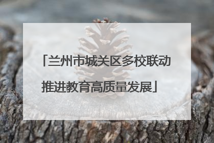 兰州市城关区多校联动推进教育高质量发展
