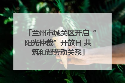 兰州市城关区开启“阳光仲裁”开放日 共筑和谐劳动关系