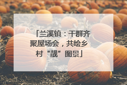 兰溪镇：干群齐聚屋场会，共绘乡村“靓”图景