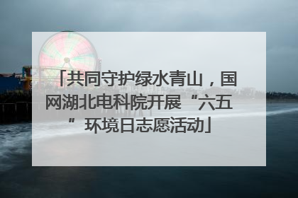 共同守护绿水青山，国网湖北电科院开展“六五”环境日志愿活动