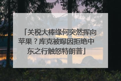 关税大棒缘何突然挥向苹果？库克被曝因拒绝中东之行触怒特朗普