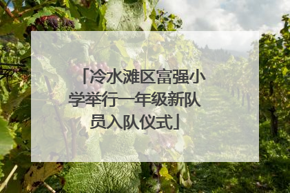 冷水滩区富强小学举行一年级新队员入队仪式