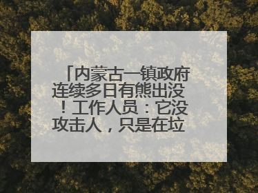 内蒙古一镇政府连续多日有熊出没！工作人员：它没攻击人，只是在垃圾桶翻找食物