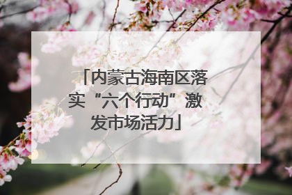 内蒙古海南区落实“六个行动”激发市场活力