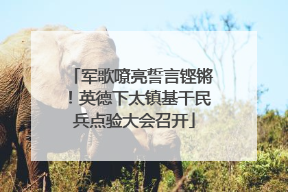 军歌嘹亮誓言铿锵！英德下太镇基干民兵点验大会召开