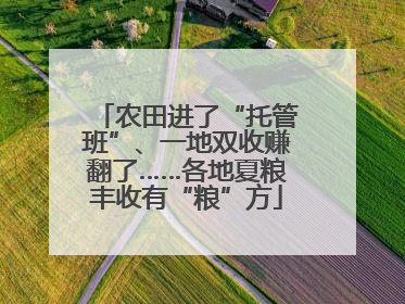 农田进了“托管班”、一地双收赚翻了……各地夏粮丰收有“粮”方