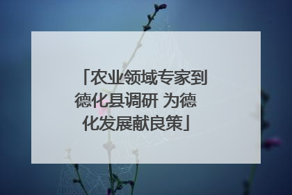 农业领域专家到德化县调研 为德化发展献良策
