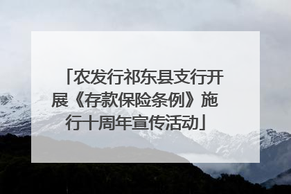 农发行祁东县支行开展《存款保险条例》施行十周年宣传活动