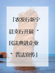 农发行新宁县支行开展“民法典进企业”普法宣传