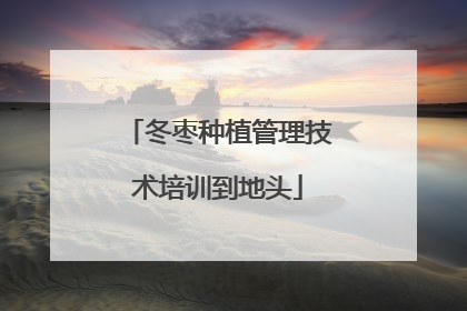 冬枣种植管理技术培训到地头