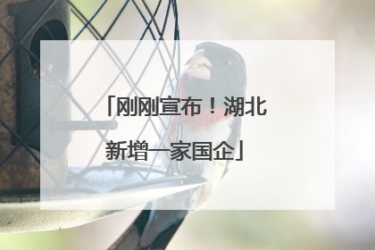 刚刚宣布!湖北新增一家国企