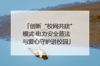创新“校网共建”模式 电力安全普法与爱心守护进校园