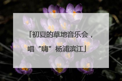 初夏的草地音乐会，唱“嗨”杨浦滨江