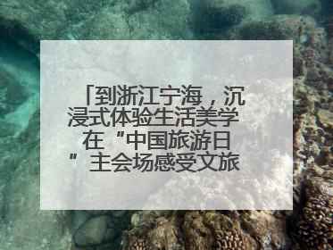 到浙江宁海，沉浸式体验生活美学 在“中国旅游日”主会场感受文旅新气象