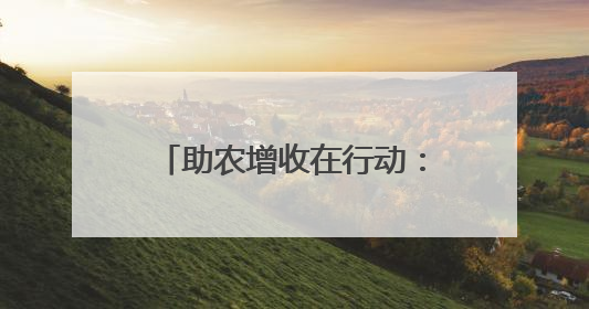 助农增收在行动：50万斤洋葱滞销 收购价每斤却高于市场价三分钱