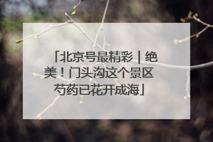 北京号最精彩｜绝美！门头沟这个景区芍药已花开成海