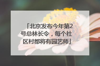 北京发布今年第2号总林长令，每个社区村都将有园艺师