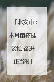 北安市：木耳菌棒挂袋忙 奋进正当时