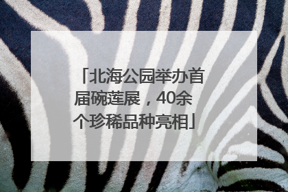 北海公园举办首届碗莲展，40余个珍稀品种亮相