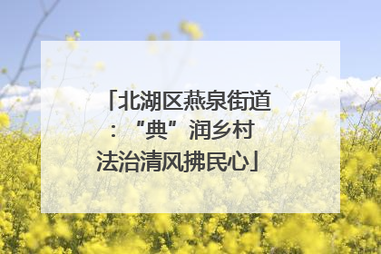 北湖区燕泉街道：“典”润乡村 法治清风拂民心