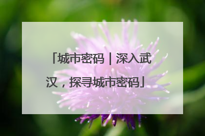 城市密码｜深入武汉，探寻城市密码