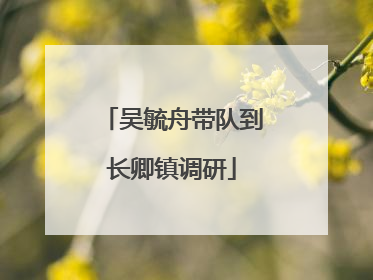 吴毓舟带队到长卿镇调研