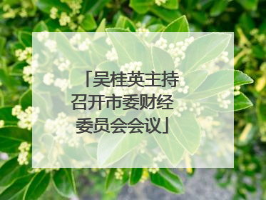 吴桂英主持召开市委财经委员会会议
