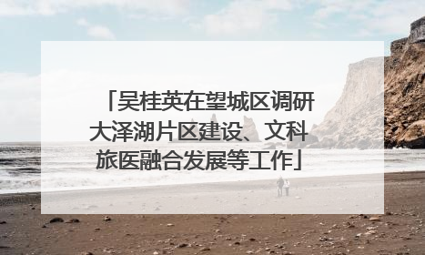 吴桂英在望城区调研大泽湖片区建设、文科旅医融合发展等工作