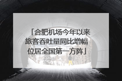 合肥机场今年以来旅客吞吐量同比增幅位居全国第一方阵