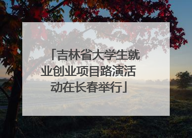 吉林省大学生就业创业项目路演活动在长春举行