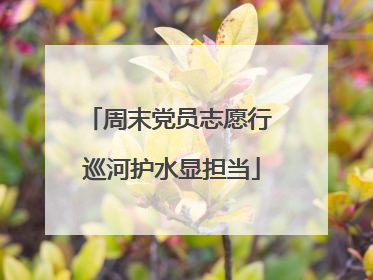 周末党员志愿行 巡河护水显担当