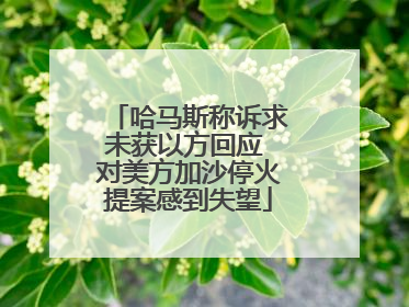 哈马斯称诉求未获以方回应 对美方加沙停火提案感到失望