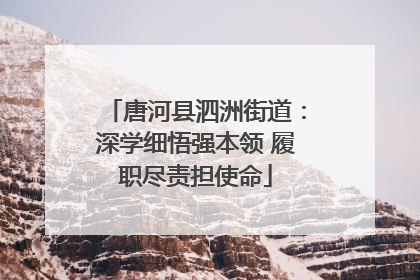 唐河县泗洲街道：深学细悟强本领 履职尽责担使命