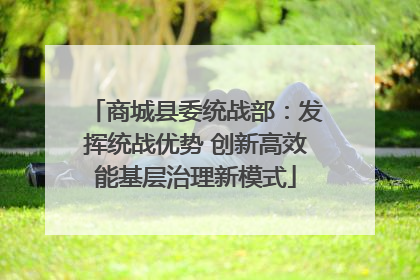 商城县委统战部：发挥统战优势 创新高效能基层治理新模式