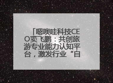 嗯噢哇科技CEO窦飞鹏：共创旅游专业能力认知平台，激发行业“自生长”力量