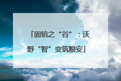 固镇之“谷”：沃野“智”变筑粮安