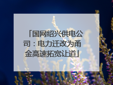 国网绍兴供电公司：电力迁改为甬金高速拓宽让道