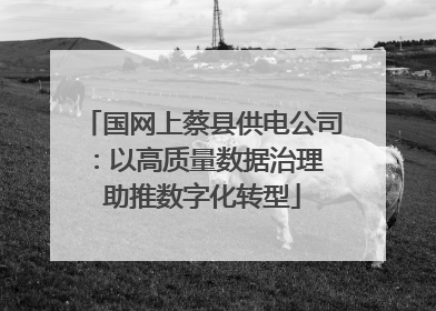 国网上蔡县供电公司：以高质量数据治理 助推数字化转型