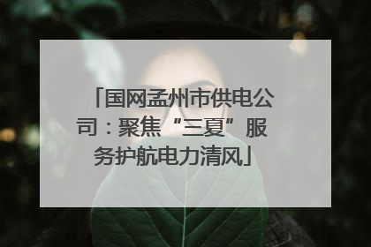 国网孟州市供电公司：聚焦“三夏”服务护航电力清风