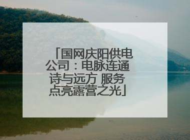 国网庆阳供电公司：电脉连通诗与远方 服务点亮露营之光