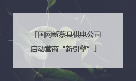 国网新蔡县供电公司启动营商“新引擎”