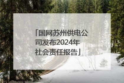 国网苏州供电公司发布2024年社会责任报告
