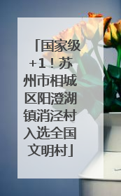 国家级+1！苏州市相城区阳澄湖镇消泾村入选全国文明村