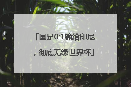 国足0:1输给印尼，彻底无缘世界杯