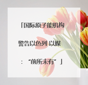 国际原子能机构警告以色列 以媒：“前所未有”