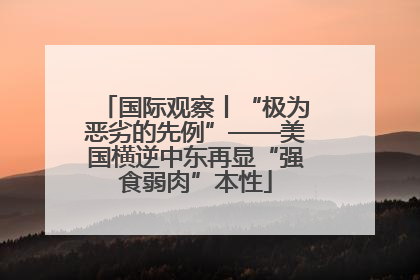 国际观察丨“极为恶劣的先例”——美国横逆中东再显“强食弱肉”本性