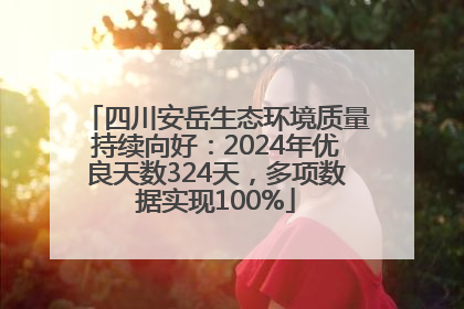 四川安岳生态环境质量持续向好：2024年优良天数324天，多项数据实现100%