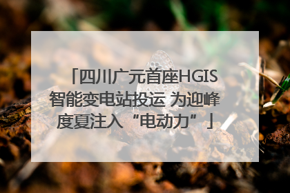 四川广元首座HGIS智能变电站投运 为迎峰度夏注入“电动力”